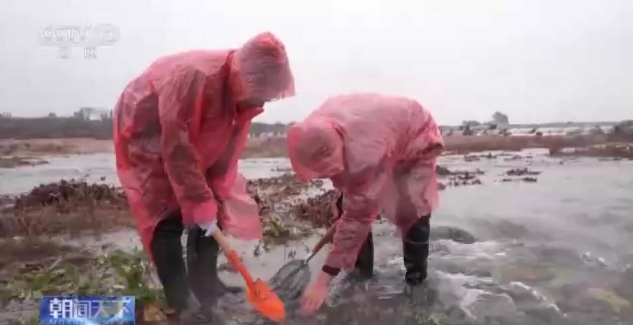 央媒看岳阳｜新墙河变化的背后