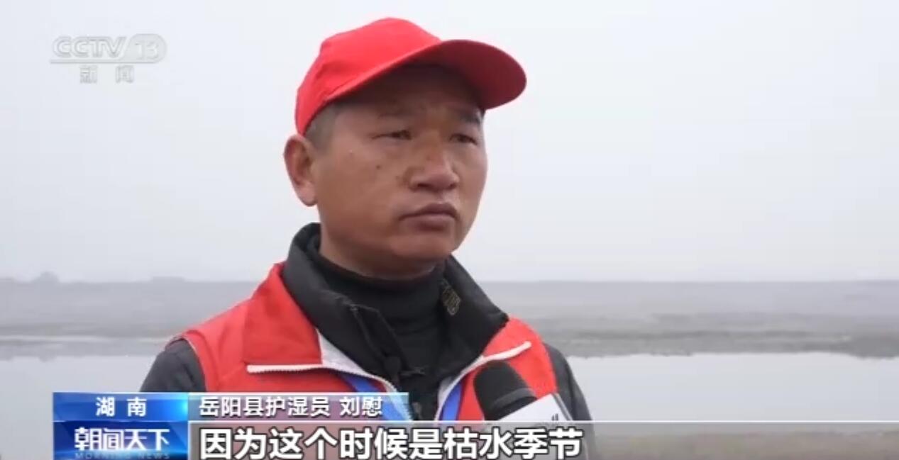 央媒看岳阳｜新墙河变化的背后