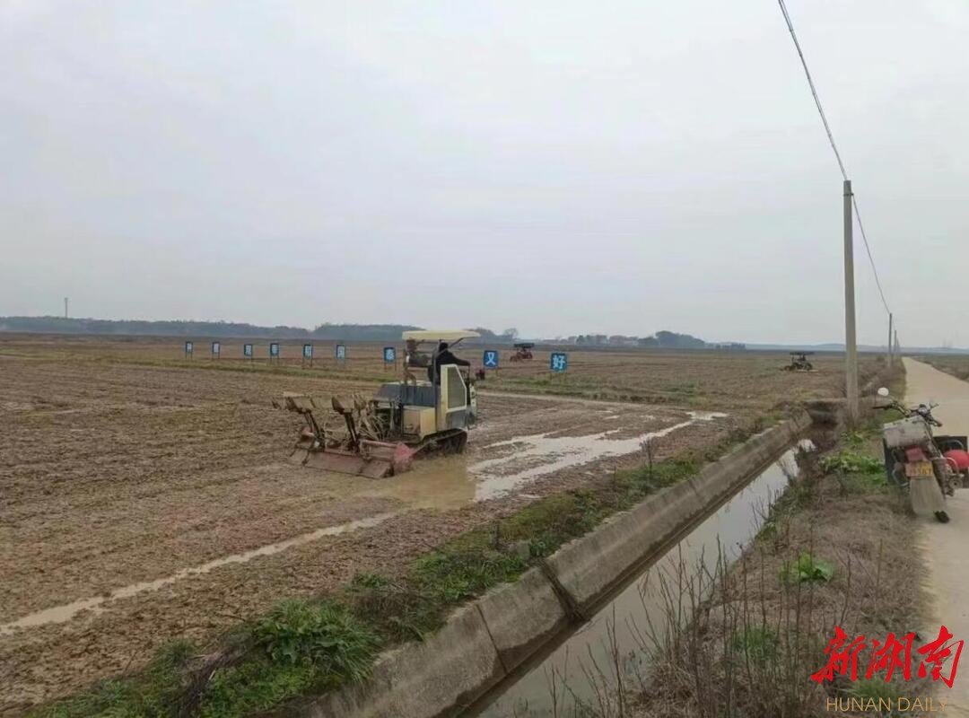 抢抓农时·春耕备播⑤|临湘坦渡：推动粮食生产面积和产量“四连增”