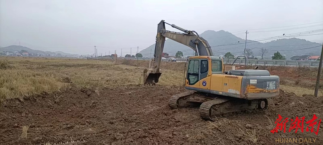 抢抓农时·春耕备播⑦|汨罗燕塘村：小田改大田  丰产信心足