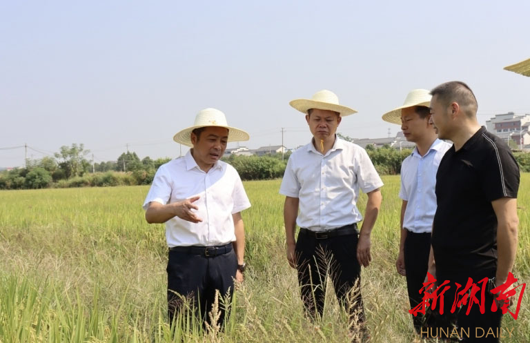 抢抓农时·春耕备播⑨丨高光时刻！汨罗市耕地保护何以受全省瞩目？
