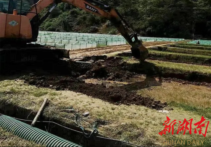抢抓农时·春耕备播⑨丨高光时刻！汨罗市耕地保护何以受全省瞩目？