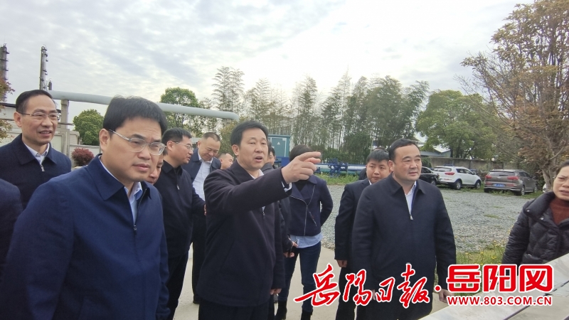 李挚赴云溪区调研